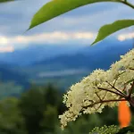 Scheibenwald Huette Kössen